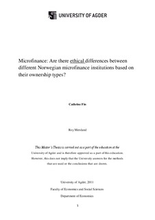 Microcredit master thesis
